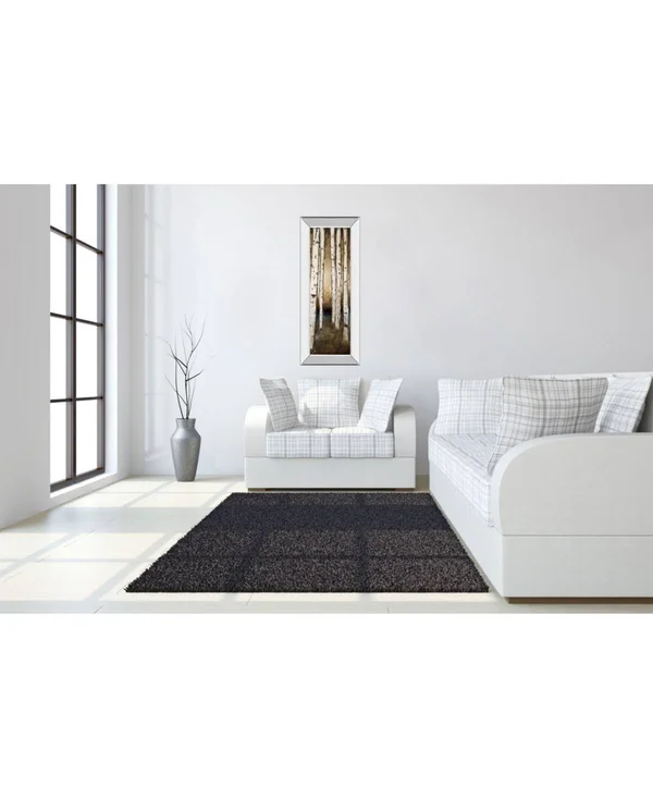 Classy Art 1663MF 18 x 42 in. Birch Landing III by St Germain Mirror Framed Print Wall Art