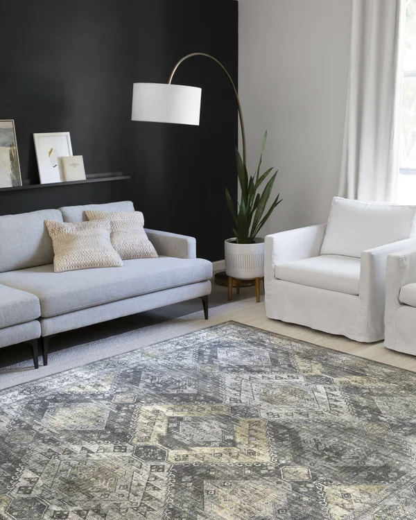 Loloi Skye SKY-09 2&6x22 x 7&6x22 Graphite - Silver Rug