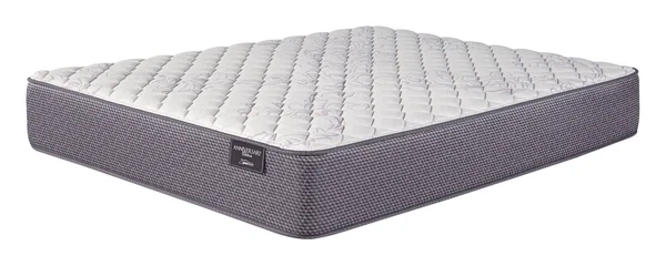 Ashley-Sleep Anniversary Edition Plush Twin Mattress - White