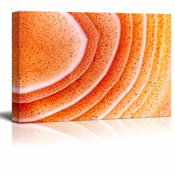 Wall26 Canvas Wall Art - Abstract Agate Slice Pattern - Giclee Print Gallery Wrap Modern Home Decor Ready to Hang - 32 inch x 48