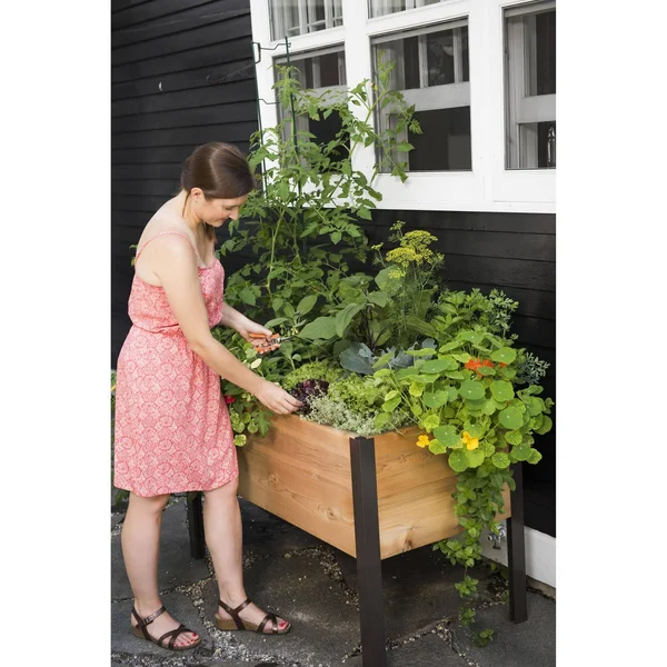 2 x 4 Elevated Cedar Planter Box - Elevated Planters, Gardener&s Supply Company
