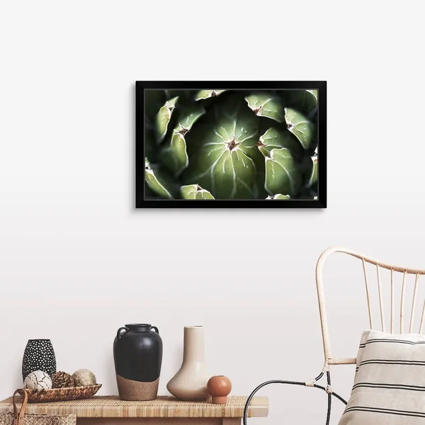 Photo Nature - Queen Victoria Agave, Black Framed Wall Art, 30x20, Great Big Canvas