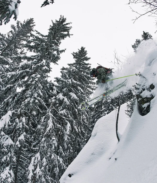 Black Crows Meta Ski Poles