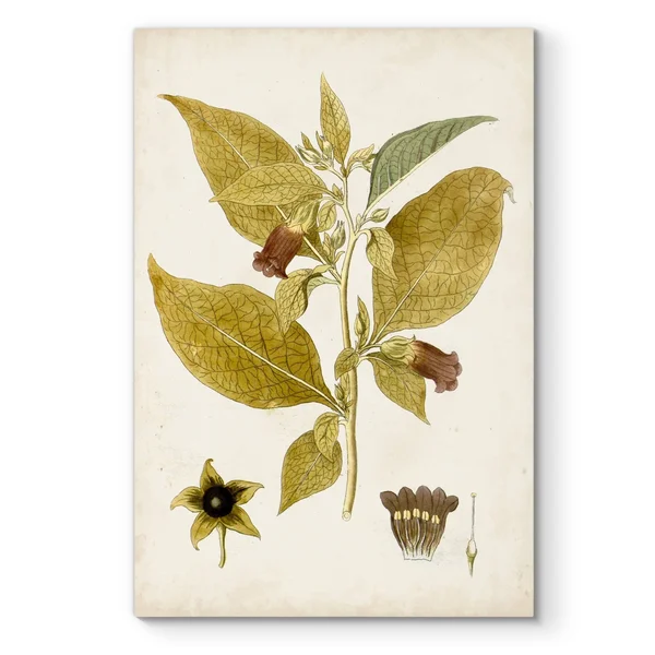 Vintage Charm VI -Premium Gallery Wrapped Canvas - 18x27