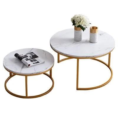 Saroyan 2 Piece Coffee Table Set Everly Quinn