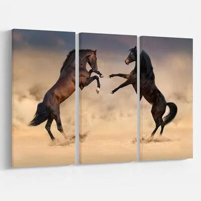 'Two Horse Play' Photographic Print Multi-Piece Image on Wrapped Canvas East Urban Home