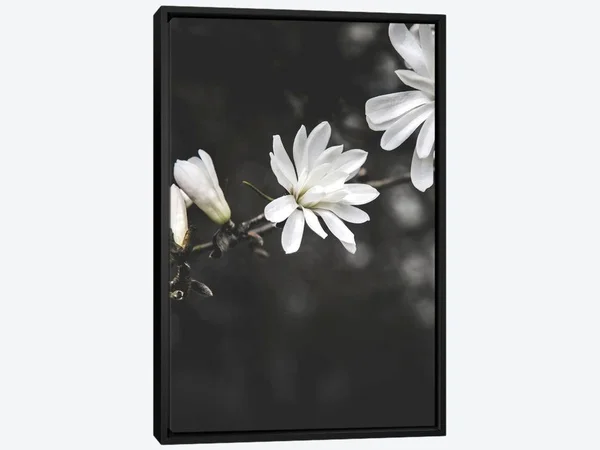 Framed Canvas Art - White Flowers by Design Fabrikken ( Floral & Botanical > Flowers > Wildflowers art)