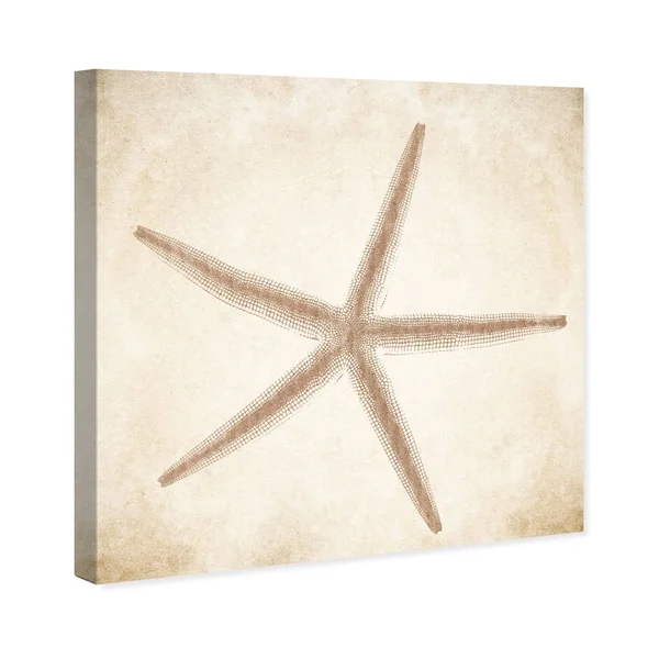 Oliver Gal Starfish Canvas 40x22 Square Wall Art in Beige