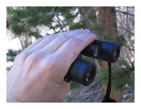 Leica Ultravid BR 10x25 Compact Binocular with AquaDura Lens Coating