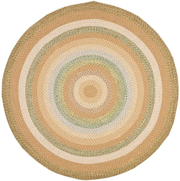 Safavieh Braided Tan/Multi 8 ft. x 8 ft. Round Area Rug