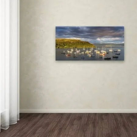 Trademark Fine Art Portree Harbor by Michael Blanchette Photography, 16x32-Inch, Assorted