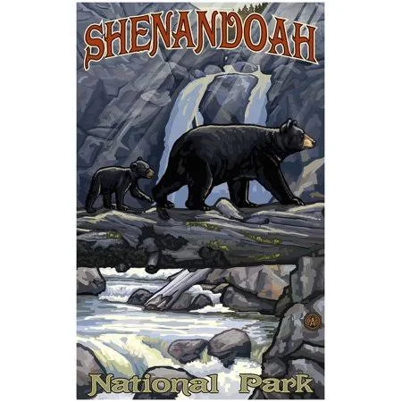 Shenandoah National Park Bear on Log Hills Giclee Art Print Poster by Paul A. Lanquist (30 inch x 45 inch), Size: 30 x 45