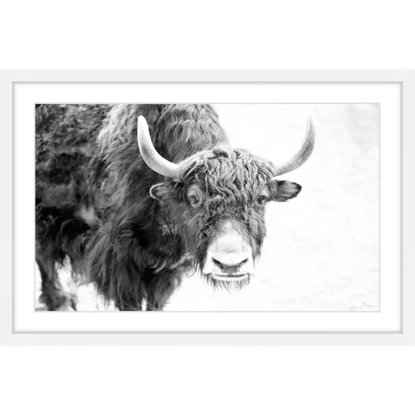 Marmont Hill Buffalo Forward Framed Painting Print, White