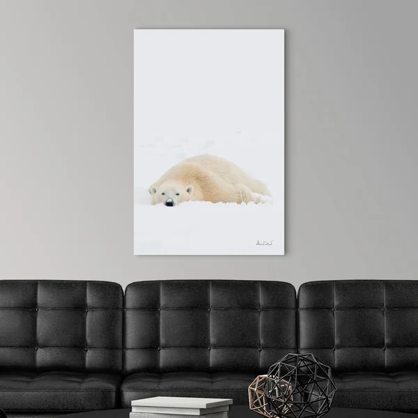 Polar Bear Cooling Off After Wrestling Match - Canvas Wall Art, 24x36, Great Big Canvas