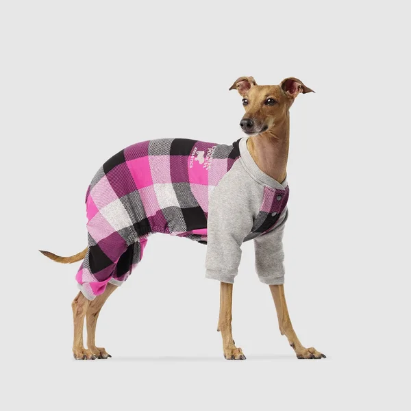 Canada Pooch Frosty Fleece Sweatsuit - Pink - Vendor