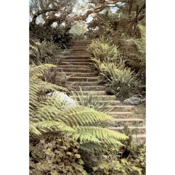 Easy Art Prints Laura Culver's 'Secret Steps' Premium Canvas Art - 30 x 20 - Classic Black Frame