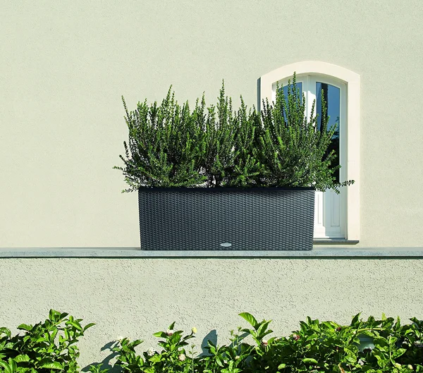 Rectangle Lechuza Trio Cottage 30 Self-Watering Resin Planter