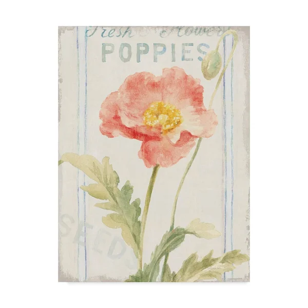 Trademark Fine Art 'Floursack Florals IV' Canvas Art by Danhui Nai - Size: 35 x 47
