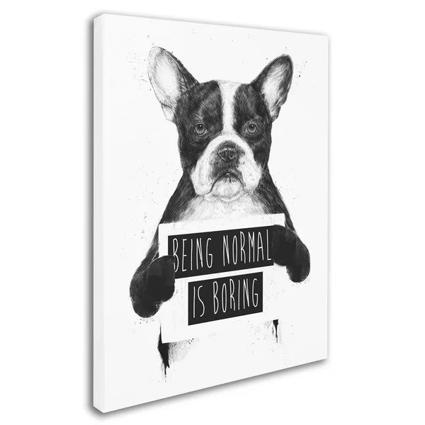 Trademark Fine Art Balazs Solti 'Being Normal Is Boring' Canvas Art - 35 x 47