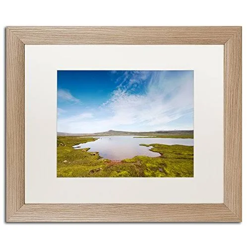 Trademark Art Universal by Philippe Sainte-Laudy Framed Photographic Print Size: 16x22 H x 20x22 W x 0.5x22 D - Frame Color: Birc