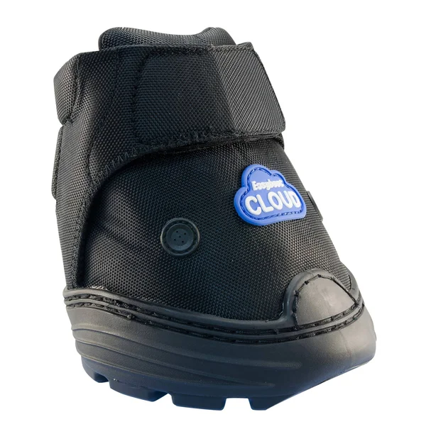 Easyboot Cloud - 4