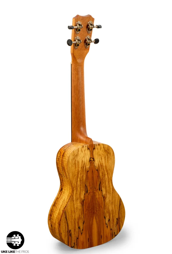 Islander MAC-4 Spalted Maple Concert Ukulele
