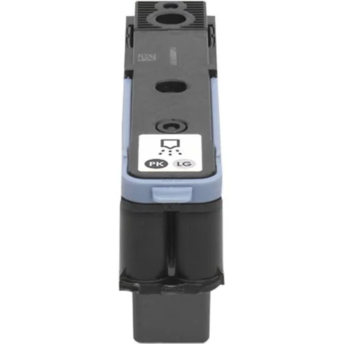HP 91 (C9463A) Light Gray - Photo Black Printhead