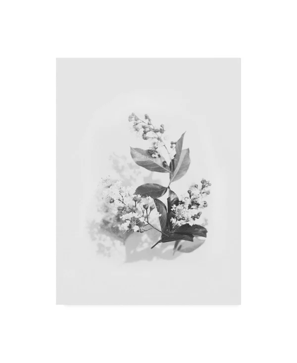 Trademark Fine Art Ic01229-C1419Gg Design Fabrikken 'Evie Fabrikken' C