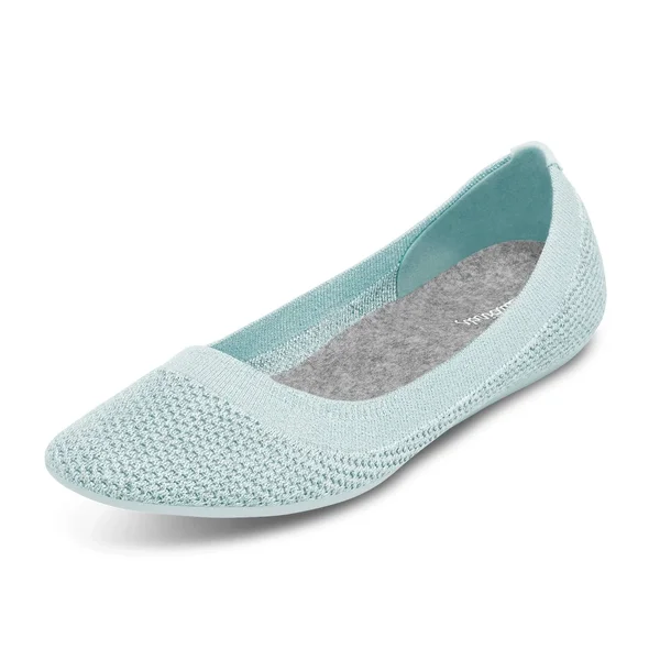 Allbirds Women's Tree Flats - Frost, Size 8.5