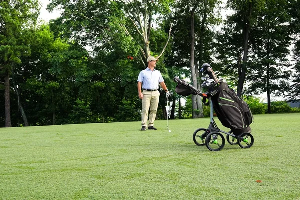 Bag Boy Chiller Cart Bag, Charcoal/Black/White