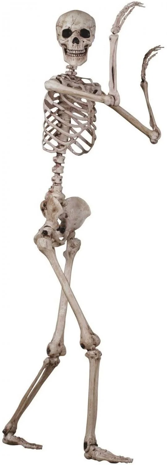 ThinkGeek Skeleton Poseable Halloween Decoration - Beige, 15.50" x 6.50" x 62"
