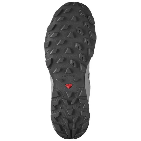Salomon Men's Outline GTX Hiking - Alloy/Black/Evening Primrose