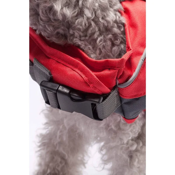Level Six - Rover Floater Pfd- Blaze L
