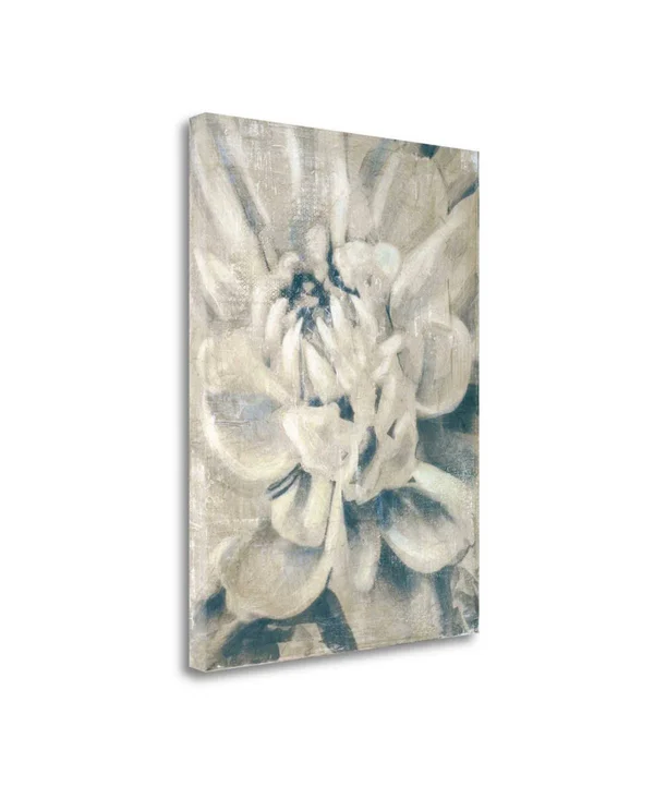 46x22 x 35x22 Glam II by Stacy DAguiar Fine Art Giclee Print