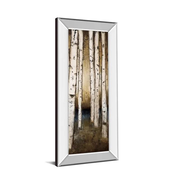 Classy Art 1663MF 18 x 42 in. Birch Landing III by St Germain Mirror Framed Print Wall Art