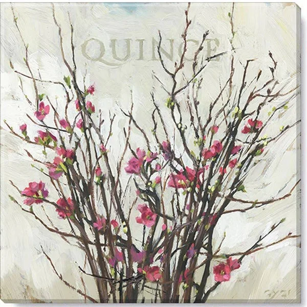 Sullivans Darren Gygi Quince Canvas, Museum Quality Giclee Print, Gallery Wrapped, Handcrafted in USA 14x22W Pink