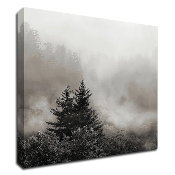 Tangletown Fine Art Rising Mist, Smoky Mountains by Nicholas Bell, Print on Canvas, Ready to Hang