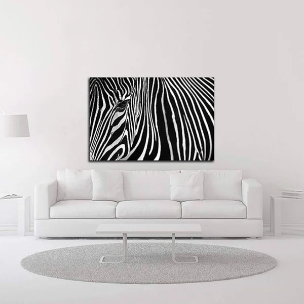 24x22 x 36x22 Zebra in Lisbon Zoo by Andy Mumford Print on Canvas