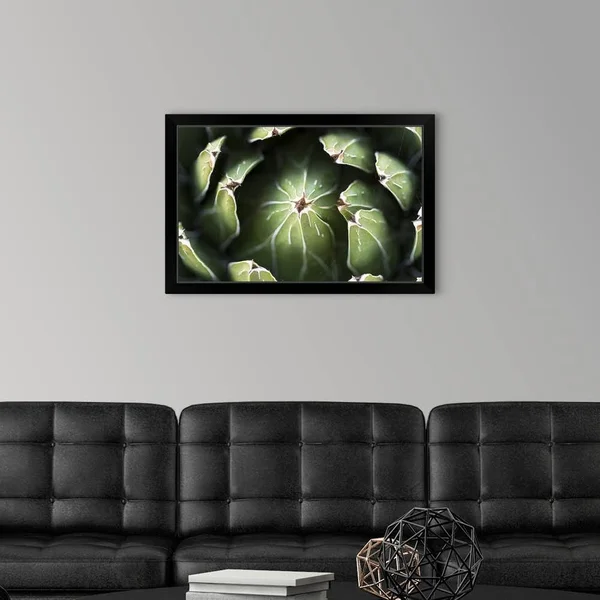 Photo Nature - Queen Victoria Agave, Black Framed Wall Art, 30x20, Great Big Canvas