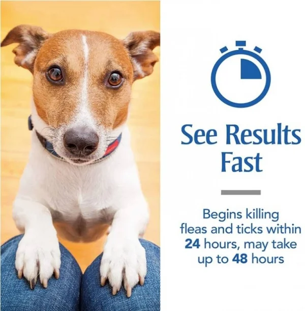 18 Count (3 x 6 ct) PetArmor Plus Flea and Tick Treatment for Small Do