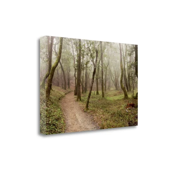 Tangletown Fine Art Oak Tree - 21 by Alan Blaustein