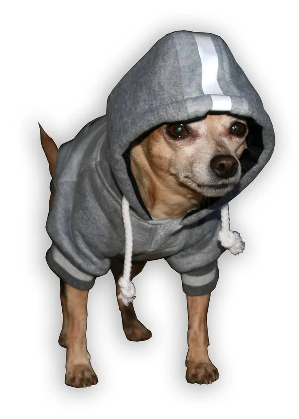 Hip Doggie New England Patriots Dog Hoodie