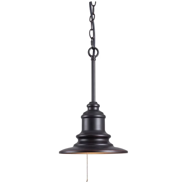 Design Craft Visp Blackened Oil Rubbed Bronze 1-Light Outdoor Pendant