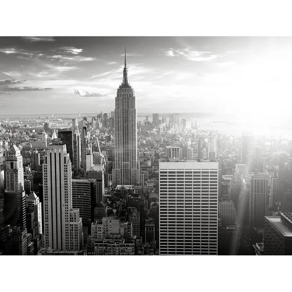 Easy Art Prints PhotoINC Studio's 'New York' Premium Canvas Art - 18 x 24 - Brazilian Barnwood Frame