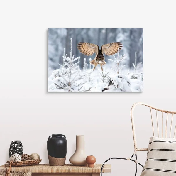 Eurasian Eagle-Owl - Canvas Wall Art, 36x24, Great Big Canvas