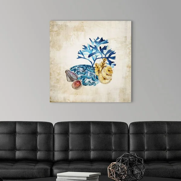 Sea Life II - Canvas Wall Art, 30x30, Great Big Canvas