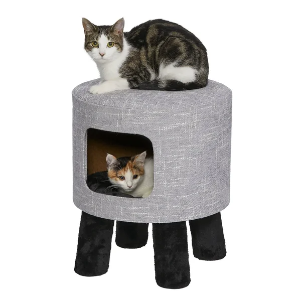 Feline Nuvo Stella