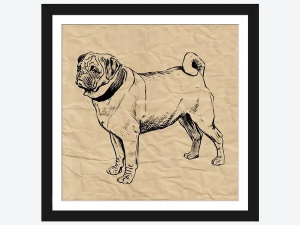 Framed Poster Prints - Pug by Sabine Berg ( Animal Art > Dogs > Pugs art)