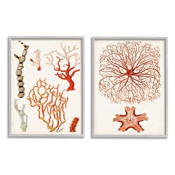 Collage of Unique Ocean Coral Red Brown - 2 Piece Graphic Art Print Set Stupell Industries Format: Gray Framed - Size: 14x22 H x