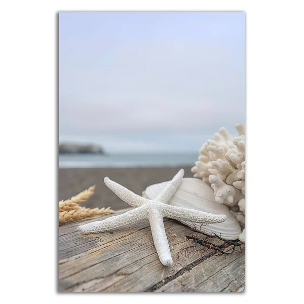 Tangletown Fine Art 21x22 x 14x22 Crescent Beach Shells 14 by Alan Blaustein Print on Canvas